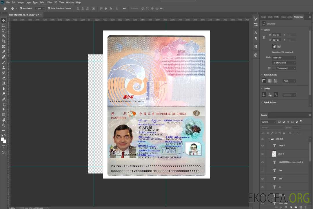 Passeport de Taïwan version 2 template
